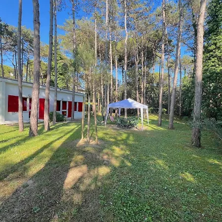 Semesterbostad Soldanella