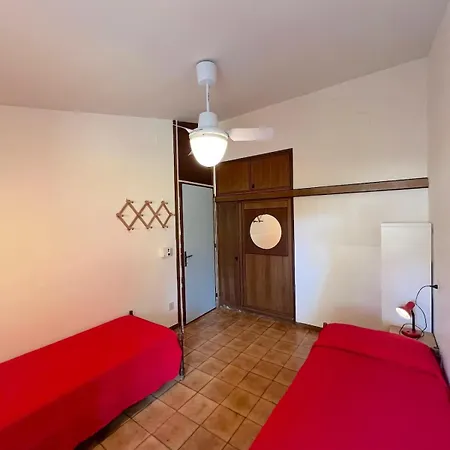 Soldanella * Линьяно-Саббьядоро